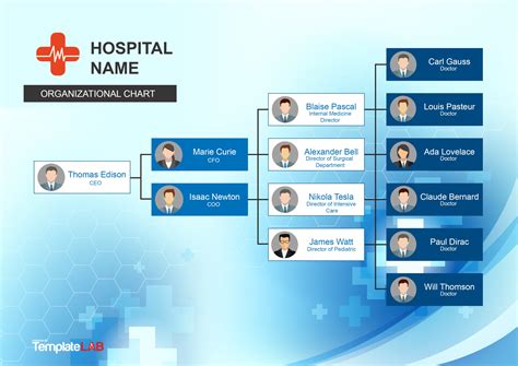 Hospital Organizational Chart Template Template Printable