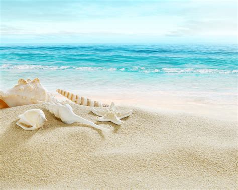 Desktop Wallpaper Horizon Beach Shell Sand Summer Hd Image