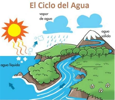 Ciclo Del Agua Explicación Fácil Y Ejemplos Mi Apunte Escolar