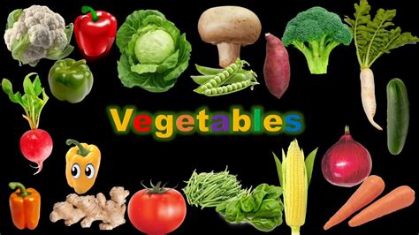 Learn Vegetables With Pictures For Kids And Toddlers Easy And Simple