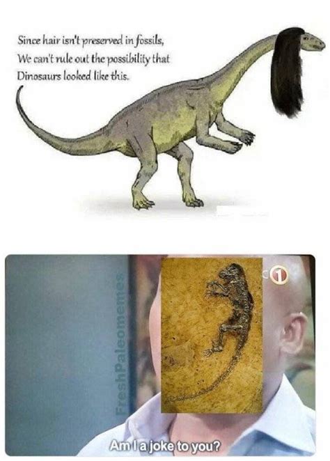 Prehistoric Memes 32 Pics