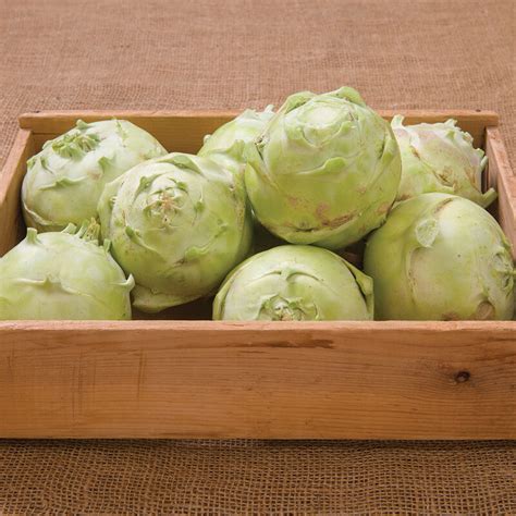 Kossak Organic F1 Kohlrabi Seed Johnnys Selected Seeds