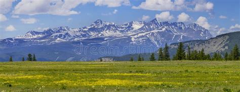 Flowering Meadow And Snow Capped Peaks Panoramic View Spring Nature