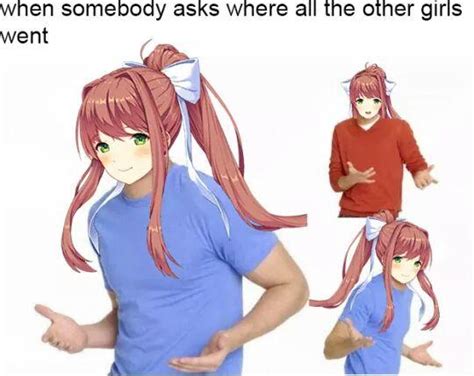 What Did You Do With The Other Character Files Monika Ddlc