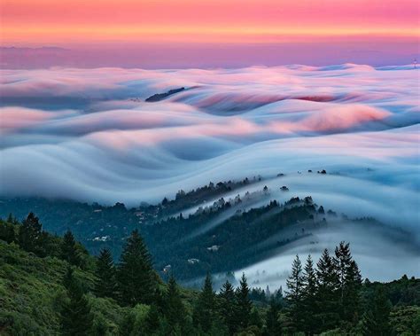 Rolling Fog Near San Francisco Beamazed