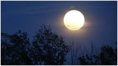 10 Fenomena Astronomis Yang Wajib Disaksikan Tahun 2022 Bulan Purnama