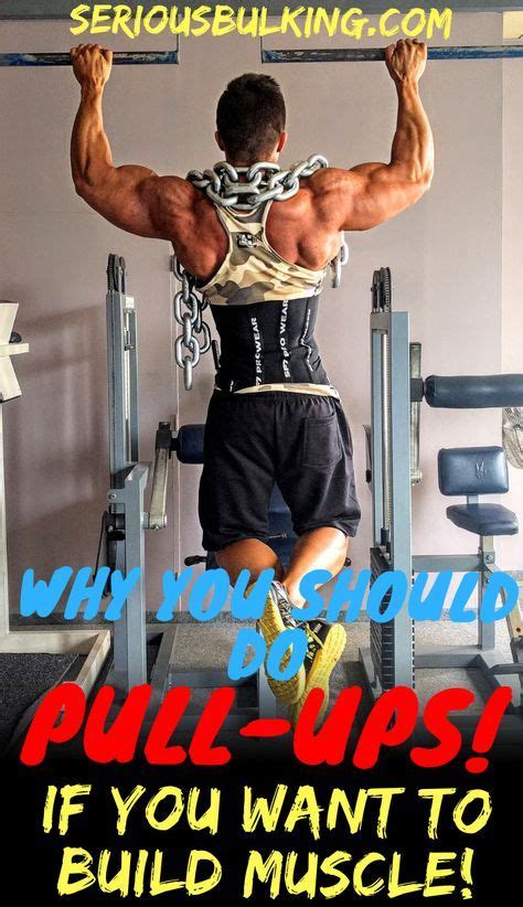 Why You Should Do Pull Ups If You Want To Build More Muscle