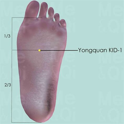 Yongquan Kid 1 Acupuncture Point