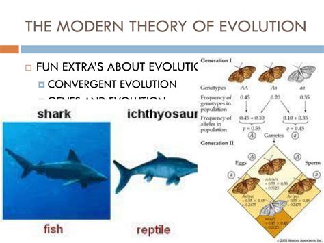 Ppt The Modern Theory Of Evolution Powerpoint Presentation Free