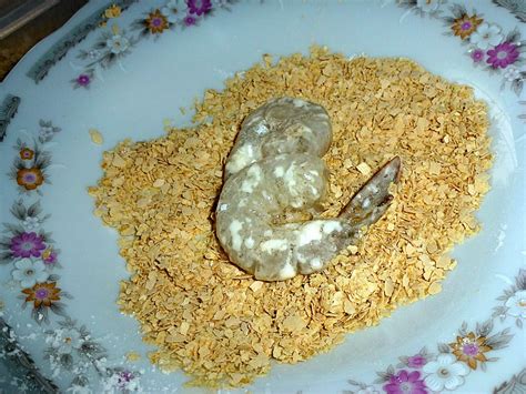Daripada yang kecil sehinggalah yang dewasa, semuanya amat menyukai hidangan udang masak diraja ini. Resepi Udang Masak Diraja - 11 Descargar