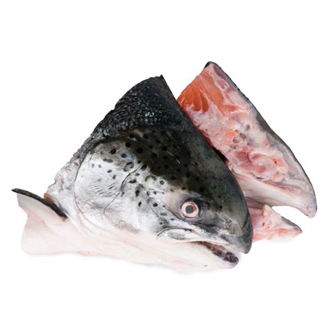 Salmon Head Market Fresh