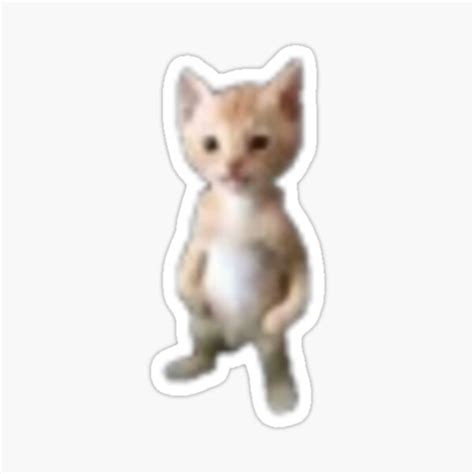 View 15 Cat Standing Up Meme Pfp Anime Alongcolorinterest