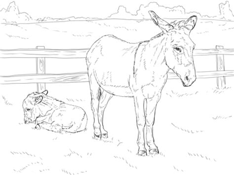 Currently, i propose donkey coloring pages printable for you, this article is similar with pound puppy coloring pages. Donkey with Baby coloring page | Free Printable Coloring Pages