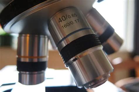 What Are The Types Of Objective Lenses On A Microscope