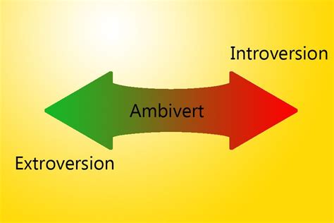 Quiz Are You An Introvert Extrovert Or An Ambivert The Hawk Eye