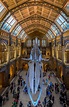 Natural History Museum London UK, Alfred Waterhouse, [2661x4094] : r ...