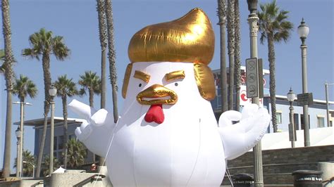 President Donald Trump Parody Chicken Don Makes Appearances Around