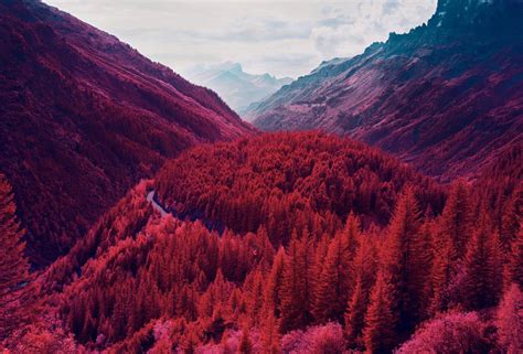 The Swiss Alps Transformed Into Stunning Infrared Landscapes Moss And Fog