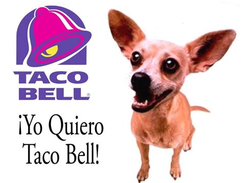 The Taco Bell Dog Nostalgia