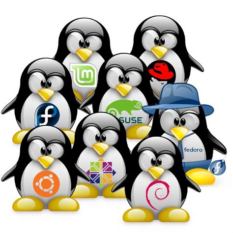 Quale Distribuzione Linux Scegliere Linux Freedom