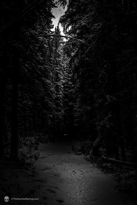 Haunted Forest 2 Tumblr Gallery