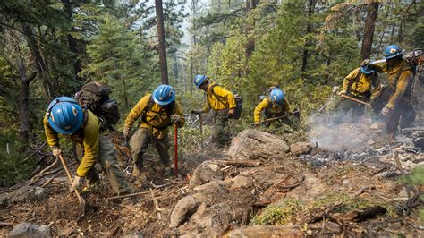Safe And Effective Response Us Forest Service Research And Development