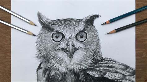 How To Draw An Owl Pencil Shading Of An Owl Realistic Owl Drawing