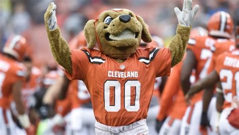 Cleveland Browns Mascot Chomps Puppy Dog Nfl Football Mascots