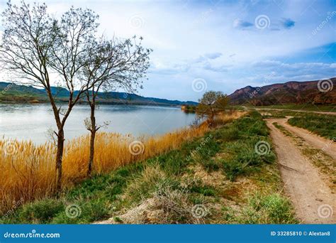Dry River Bed With Tree Stumps Stock Image 33148789