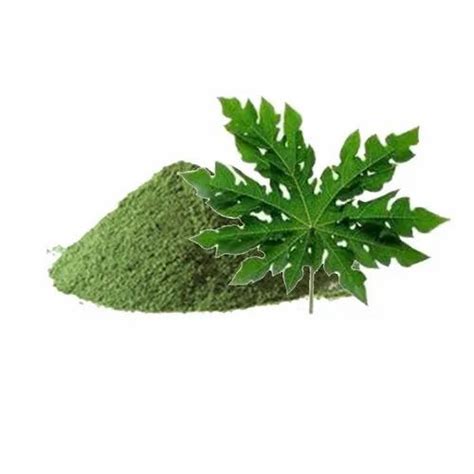 Papaya Leaf Powder At Rs 215kg Herbal Powder In Bengaluru Id