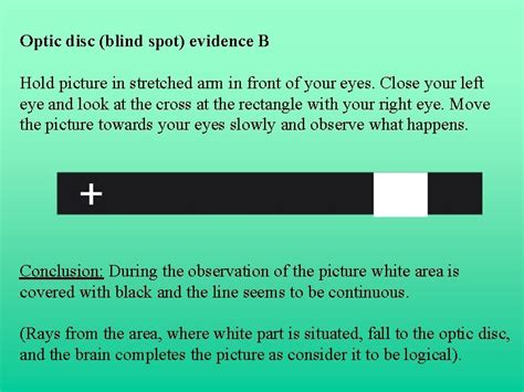 Human Senses Seeing Optic Disc Blind Spot Evidence