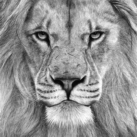 Most of all, it takes a lot of skill in order to pump out a pencil drawing. Charcoal & Charcoal Pencil Drawing - Nature In Art