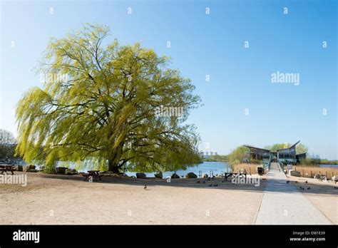 Attenborough Nature Reserve Nottinghamshire England Uk Stock Photo Alamy