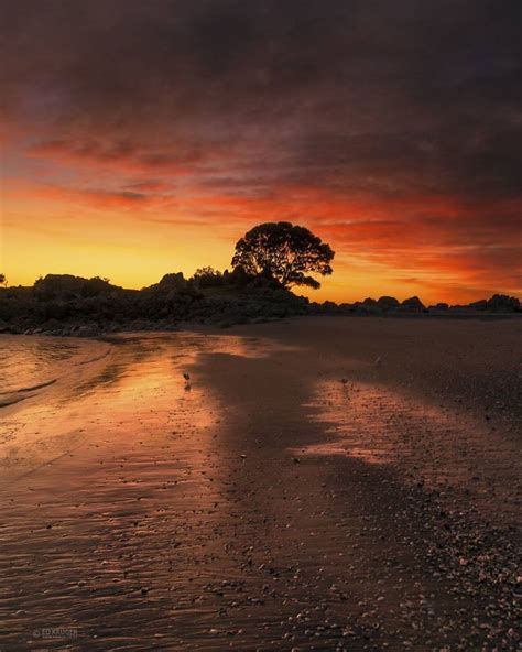 New Zealand Sunrise Sunrise Sunrise Sunset Bay Of Plenty