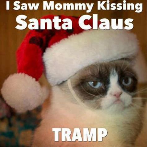 Pin By Richard Williams On Funny Grumpy Cat Christmas Funny Grumpy