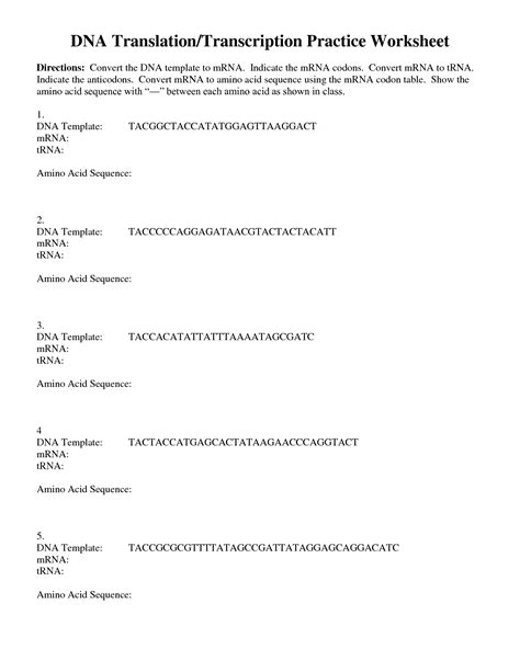 Transcription, translation and replication from the perspective of dna and rna; Transcription And Translation Practice Worksheet