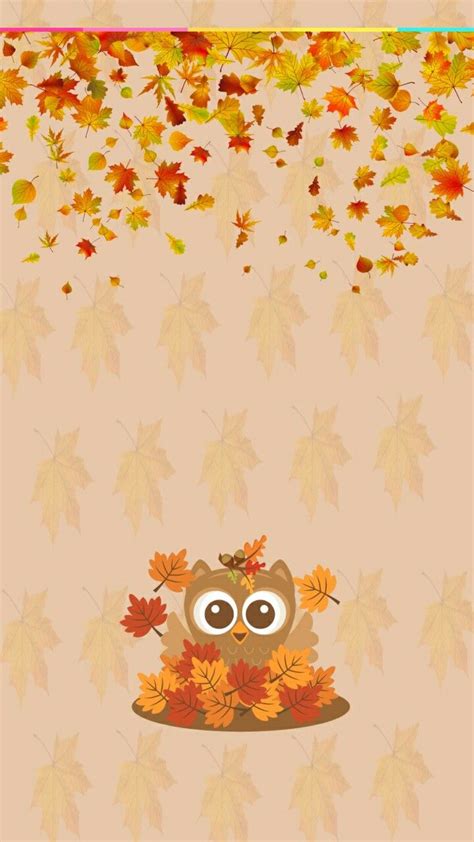 Autumn Cute Fall Wallpaper Owl Wallpaper Fall Wallpaper