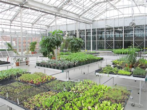 Grand Rapids Downtown Market Greenhouse Rudy Bruner Award