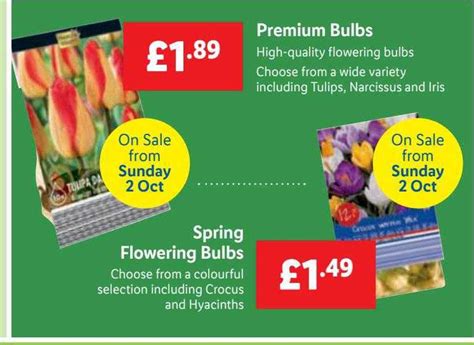 Premium Bulbs Spring Flowering Bulbs Offer At Lidl