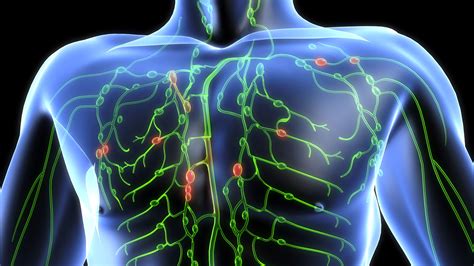 Stimulate Your Lymph System To Cleanse Your Body And Protect You From