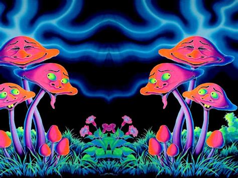 Psychedelic Mushroom Aesthetic Laptop Wallpaper Mushrooms By Arnaerr