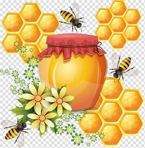Western Honey Bee Honeycomb Beehive Graphics Bee Transparent