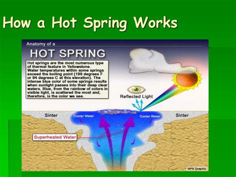 Ppt Yellowstone National Park Powerpoint Presentation Free Download