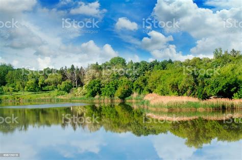 Picturesque Lake Summer Forest On The Banks And Sky Stock Photo