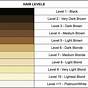 Hair Color Levels 1-10 Chart Bleach