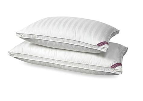 Is an american chain of domestic merchandise retail stores. Buying Guide: How To Find The Right Pillow For You (PHOTOS ...