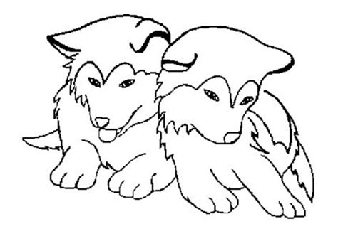 Cute Husky Drawing At Getdrawings Free Download