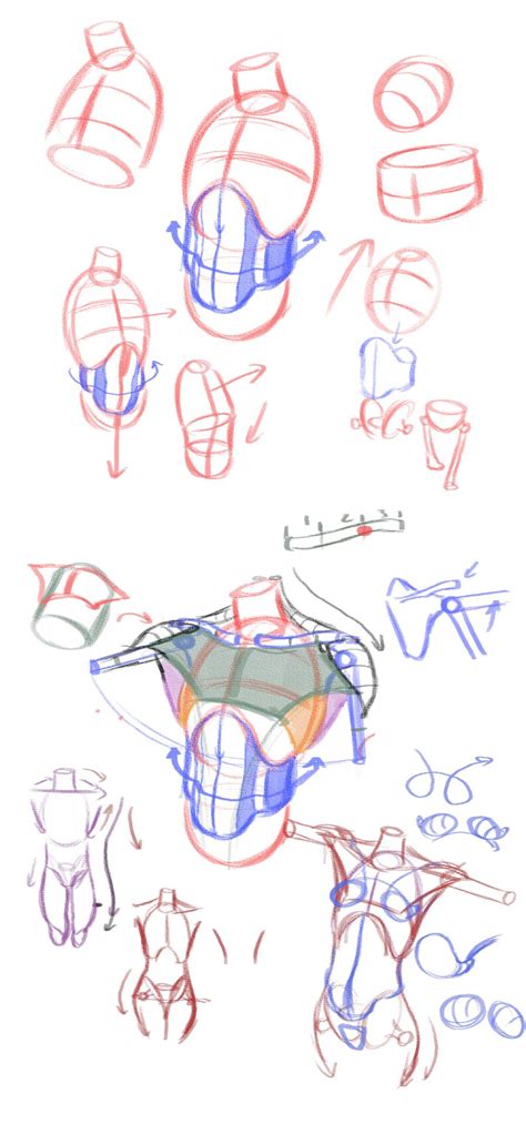 We did not find results for: Log in | Tumblr | Human anatomy drawing, Figure drawing ...