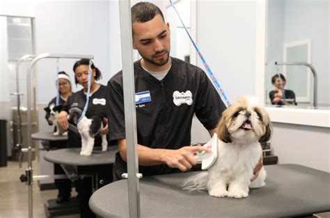 Petsmart Launches The Groomery Pet Age