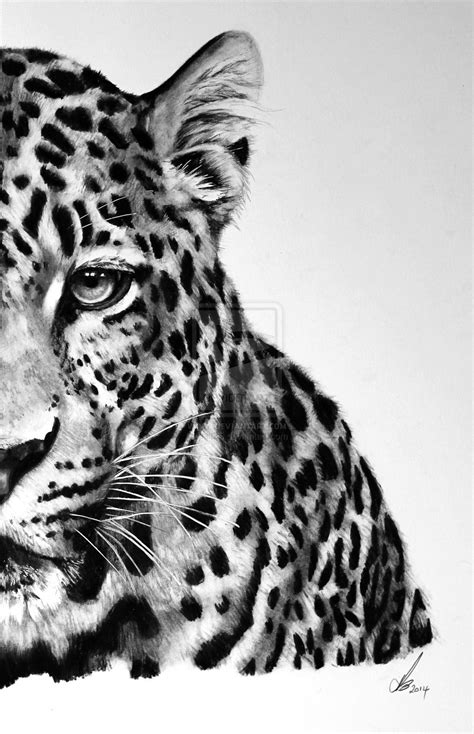 How To Draw A Realistic Leopard Face PeepsBurgh Com